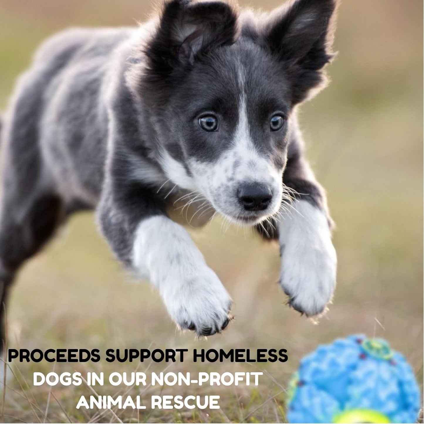 Pacific Pups 18 Piece Dog Toy Set - Plush, Rope & Chew Toys Support Non-Profit Dog Rescue